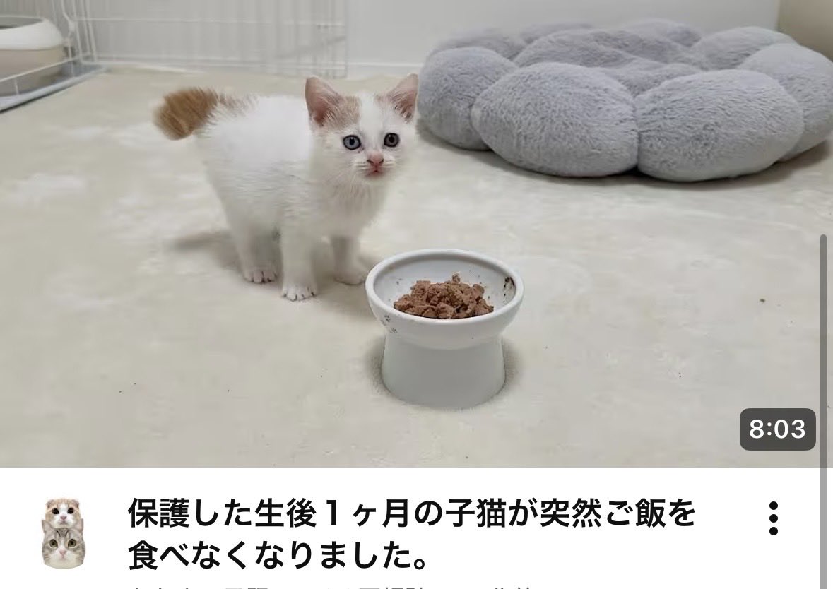 あんころもち様♡ありがとうございます♡ はなざくろ (@hana_zakulo) / Posts / X