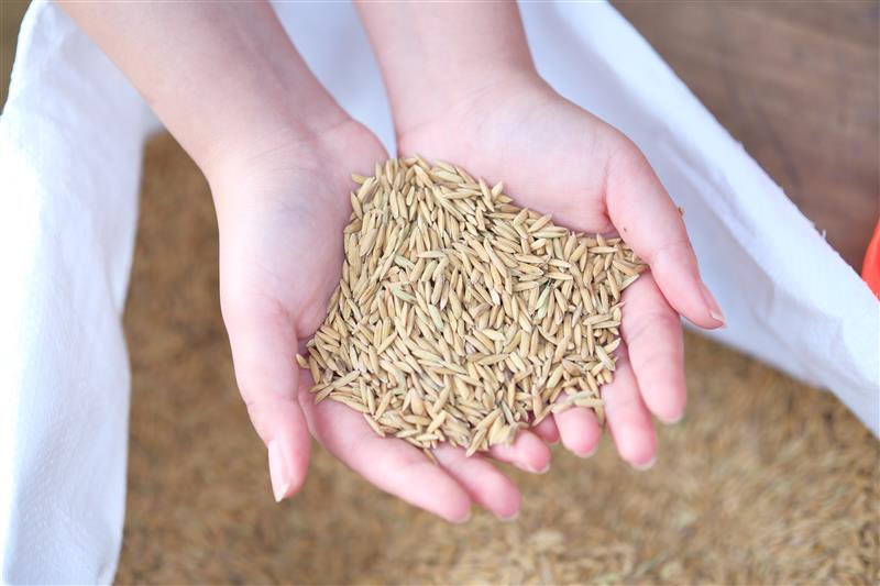 Martine Therer tweet media