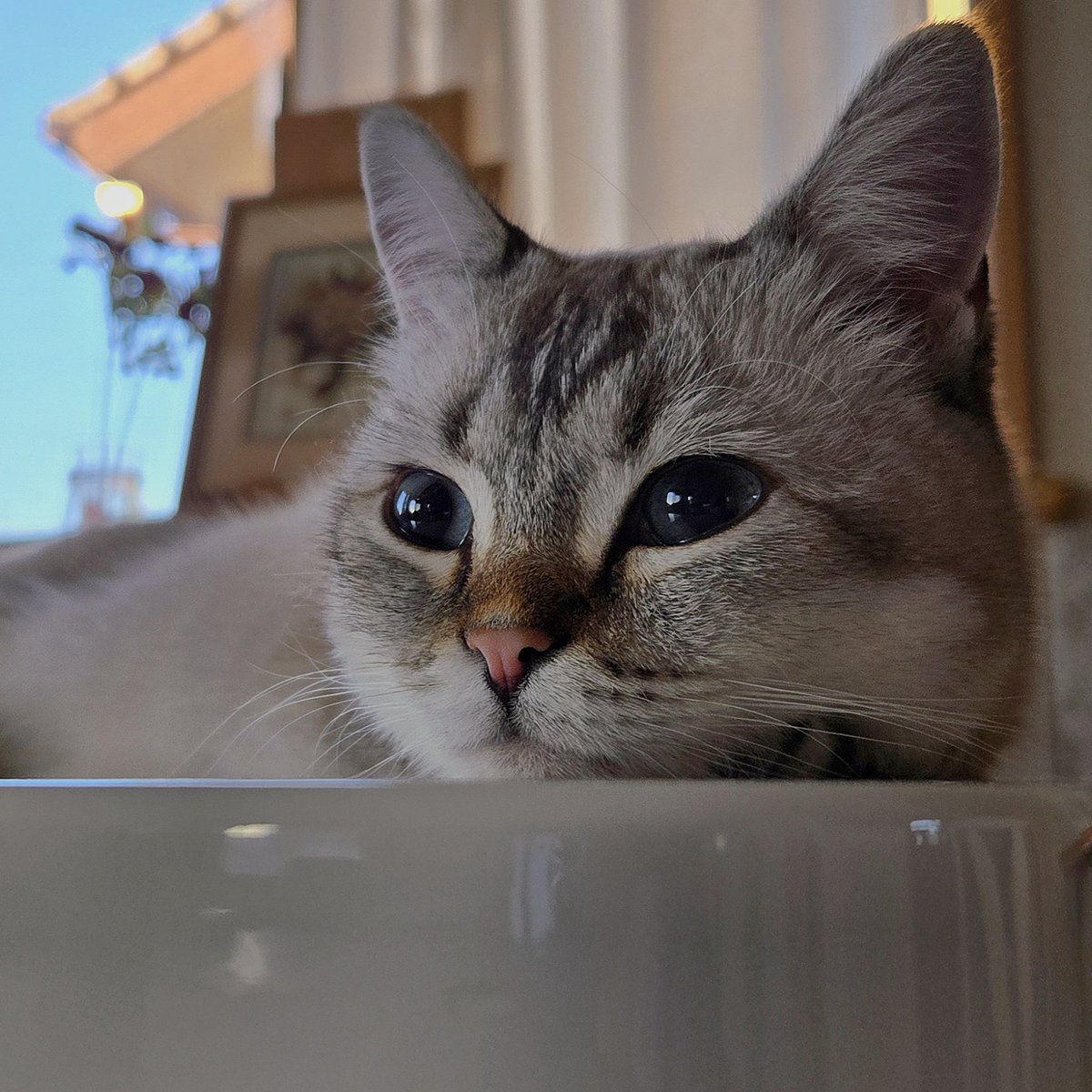 まるママ (@maruchannel0820) / Posts / X