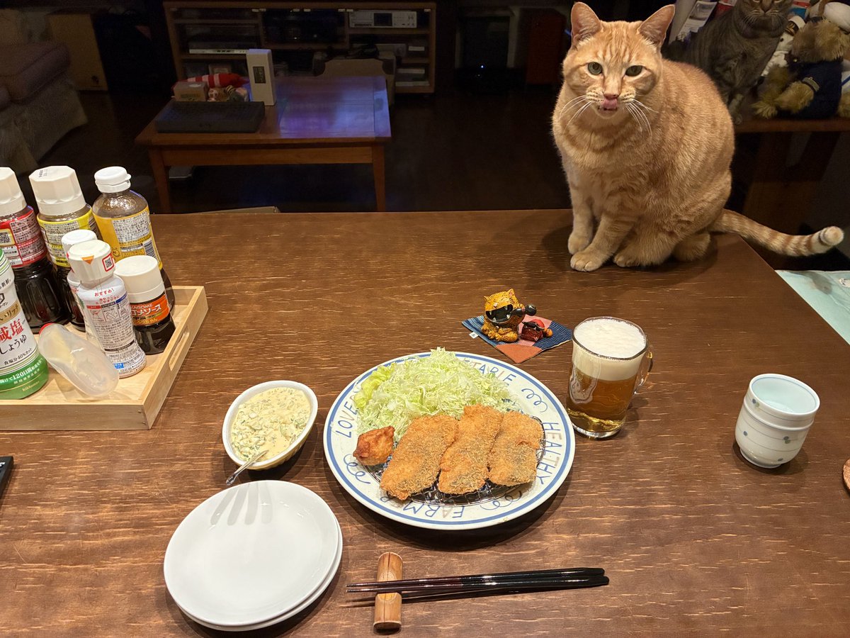 とろねこ (@toroneko1122) / Posts / X