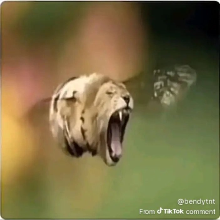 2000Foxboy's tweet image. Five Hundred Cigarettes 
#art #drawing #TheDawgWhoRaizes