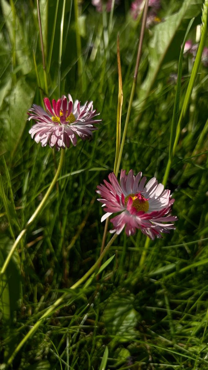 Vanessa Natali (@_natalifranco_) on Twitter photo 