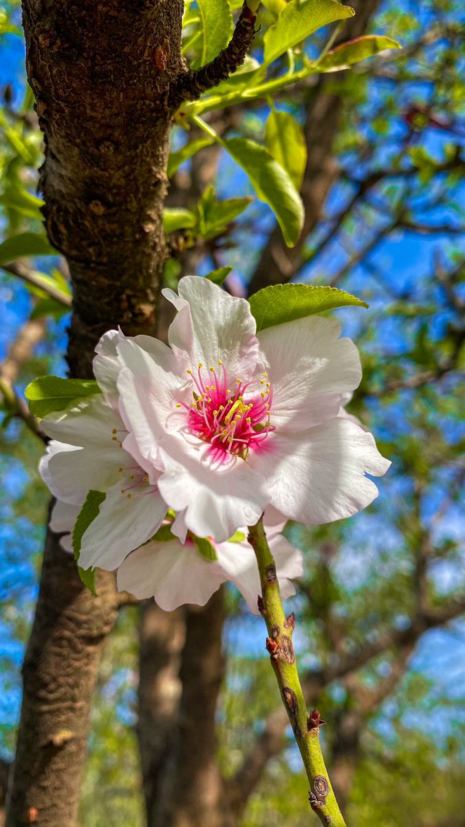 Vanessa Natali (@_natalifranco_) on Twitter photo 