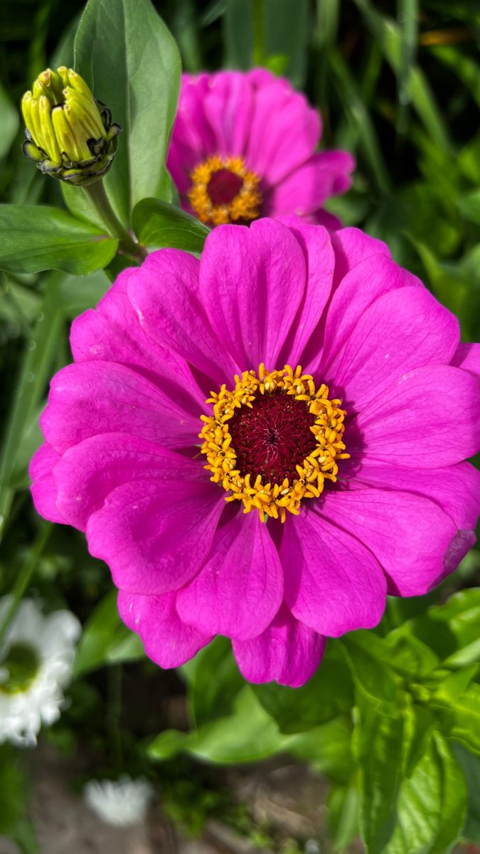 Vanessa Natali (@_natalifranco_) on Twitter photo 