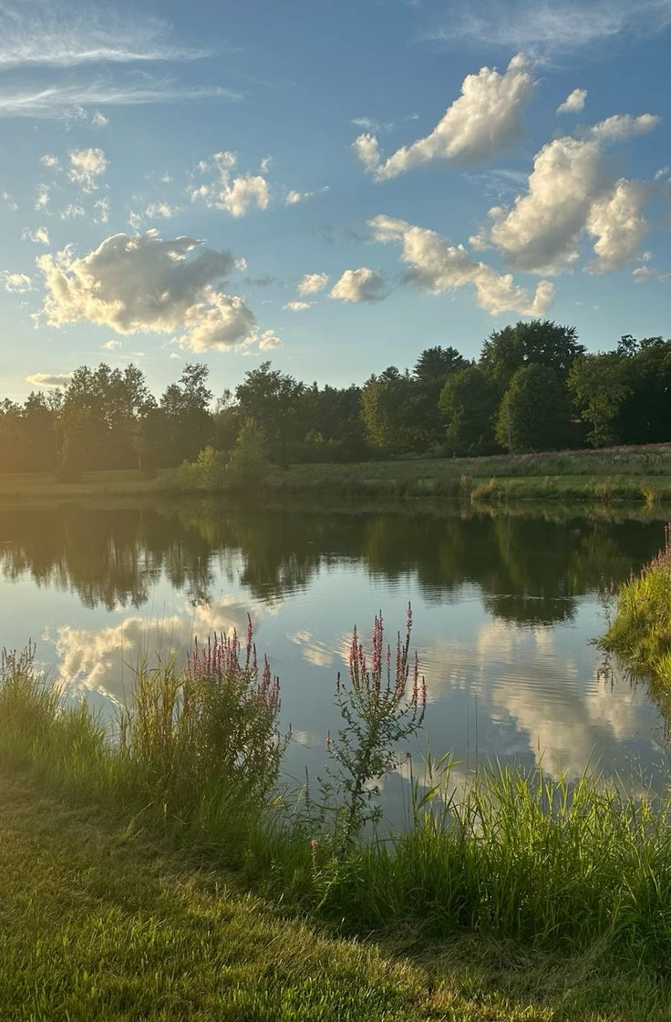 Vanessa Natali (@_natalifranco_) on Twitter photo 