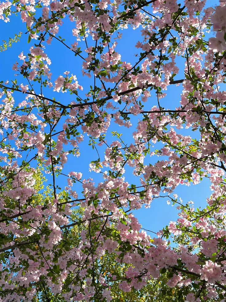 Vanessa Natali (@_natalifranco_) on Twitter photo 