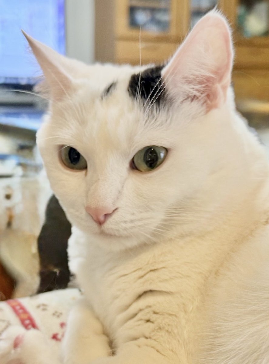 明日もよろしく✌️💤