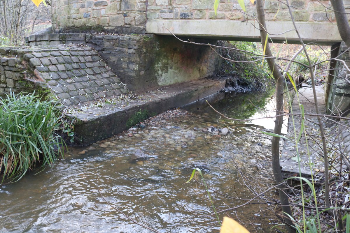 MerseyRivers's tweet image. We’ve restored the river to its natural channel, bypassing a weir for a better habitat, sediment movement &amp;amp; fish passage🌊

#RiverRestoration #NatureRecovery #CCNW #DynamicRivers #StockportCouncil #SuitainableBramhall #FriendsofBramhallPark