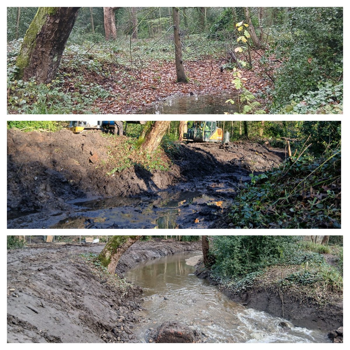MerseyRivers's tweet image. We’ve restored the river to its natural channel, bypassing a weir for a better habitat, sediment movement &amp;amp; fish passage🌊

#RiverRestoration #NatureRecovery #CCNW #DynamicRivers #StockportCouncil #SuitainableBramhall #FriendsofBramhallPark