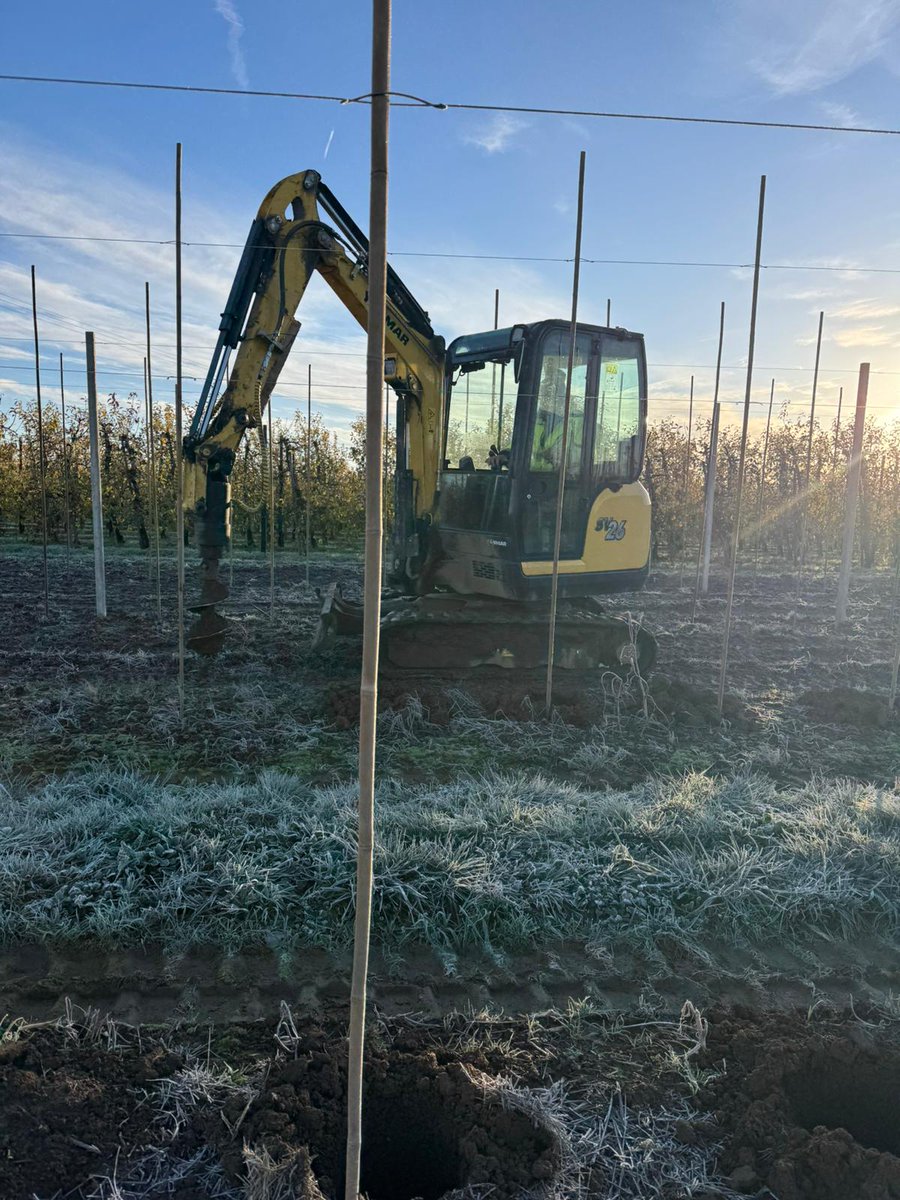 Great British Apples and Pears tweet media