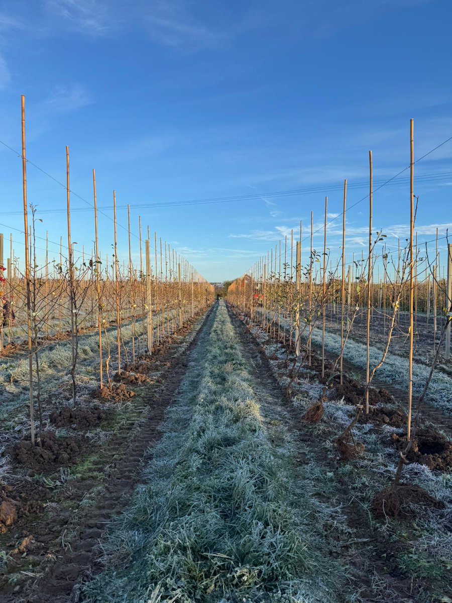 Great British Apples and Pears tweet media