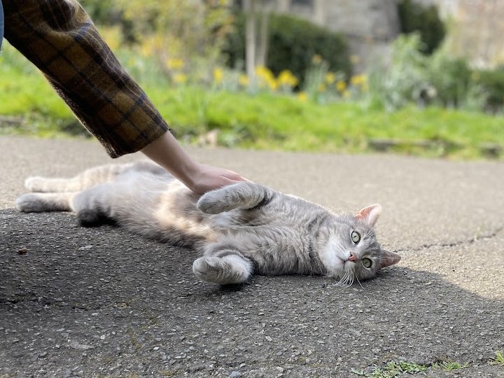 Jocaccia tweet media