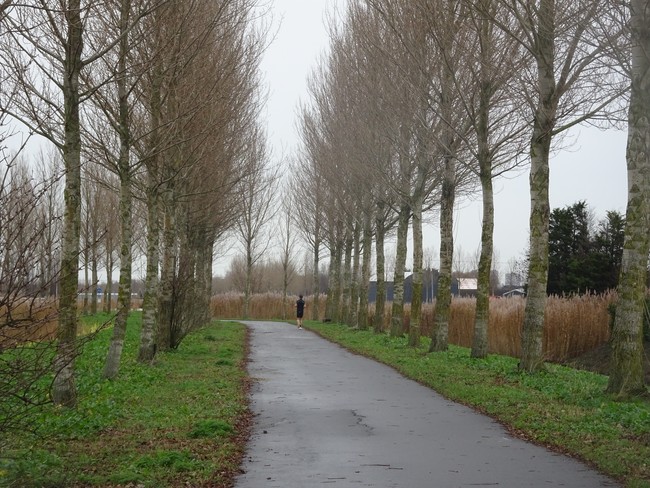 PvdA Lansingerland tweet media