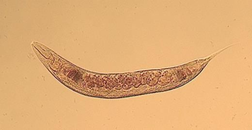 DMM Journal tweet media