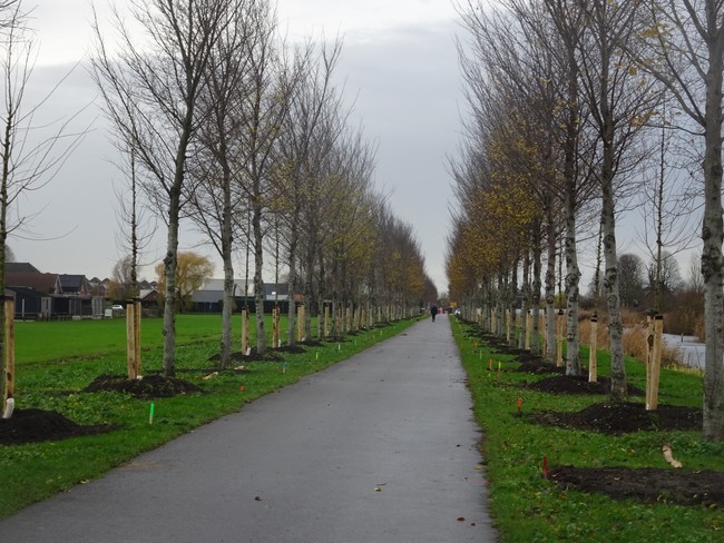 PvdA Lansingerland tweet media