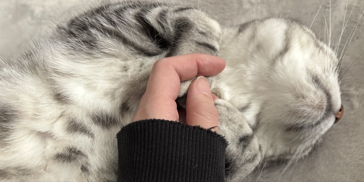 辻ともすけ (@tsuji_tomosuke) / Posts / X