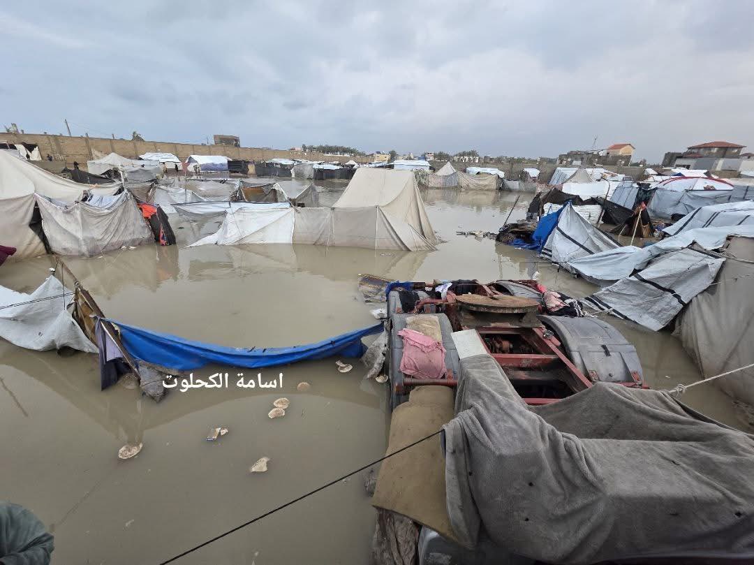 Gaza Notifications tweet media