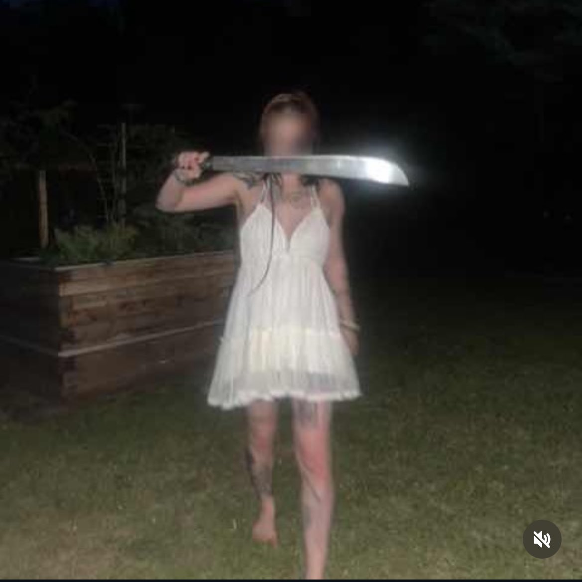 Stalkerplugg (@stalkerplugg) on Twitter photo 