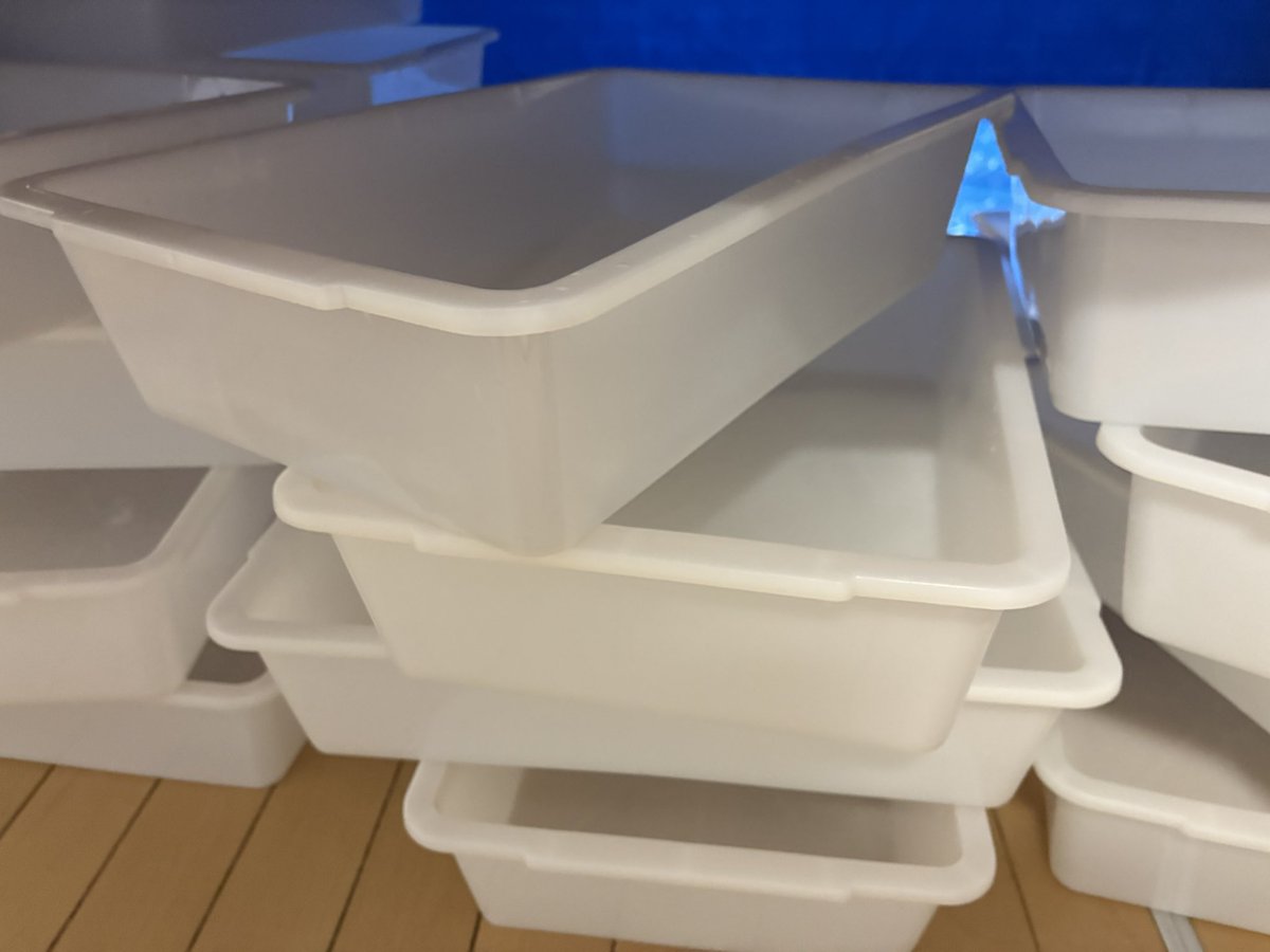 39Reptiles！サンキュー爬虫類 tweet media