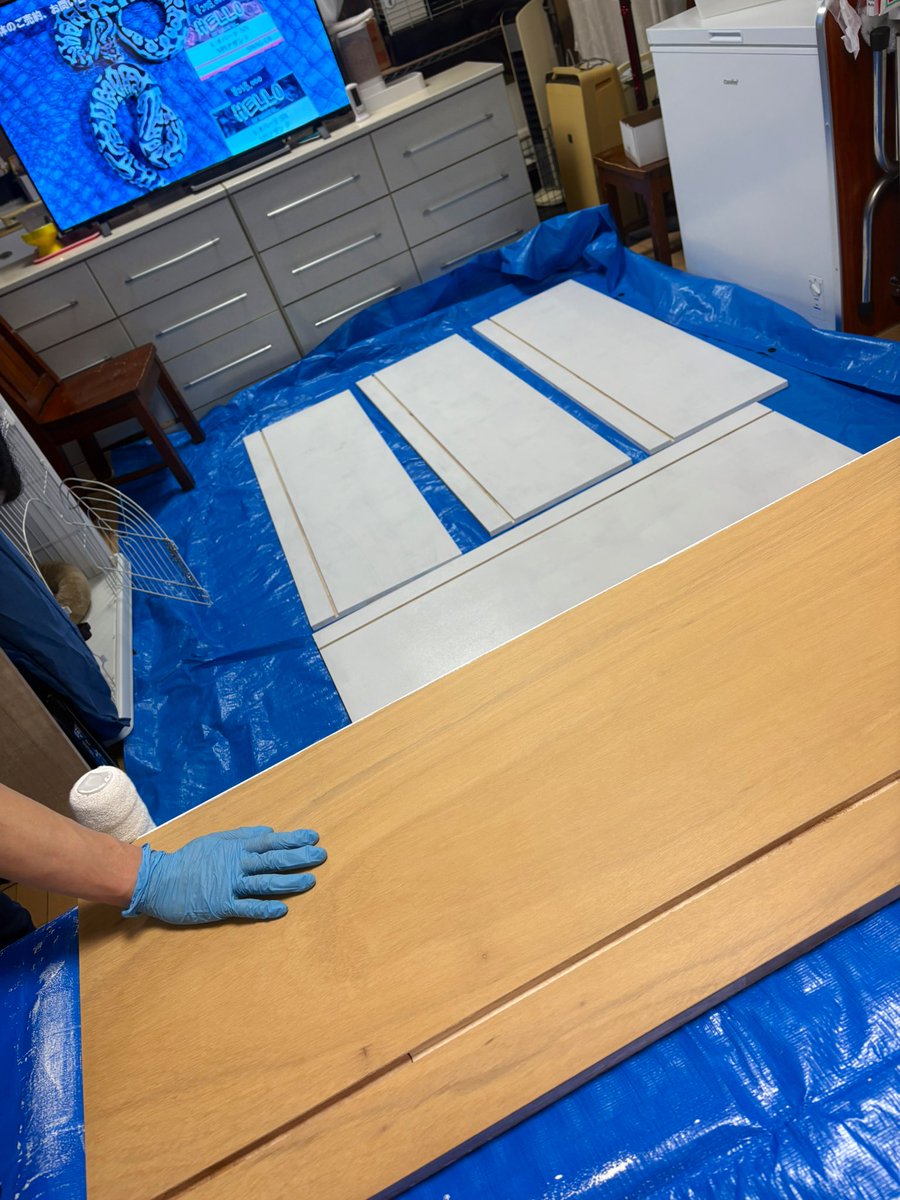 39Reptiles！サンキュー爬虫類 tweet media