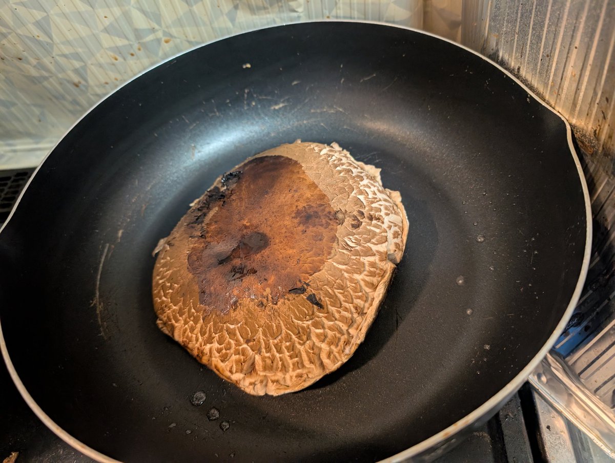 マッシュルーム（感謝） ひいい！ 意味わからないぐらいデカいマッシュルームが売られてた