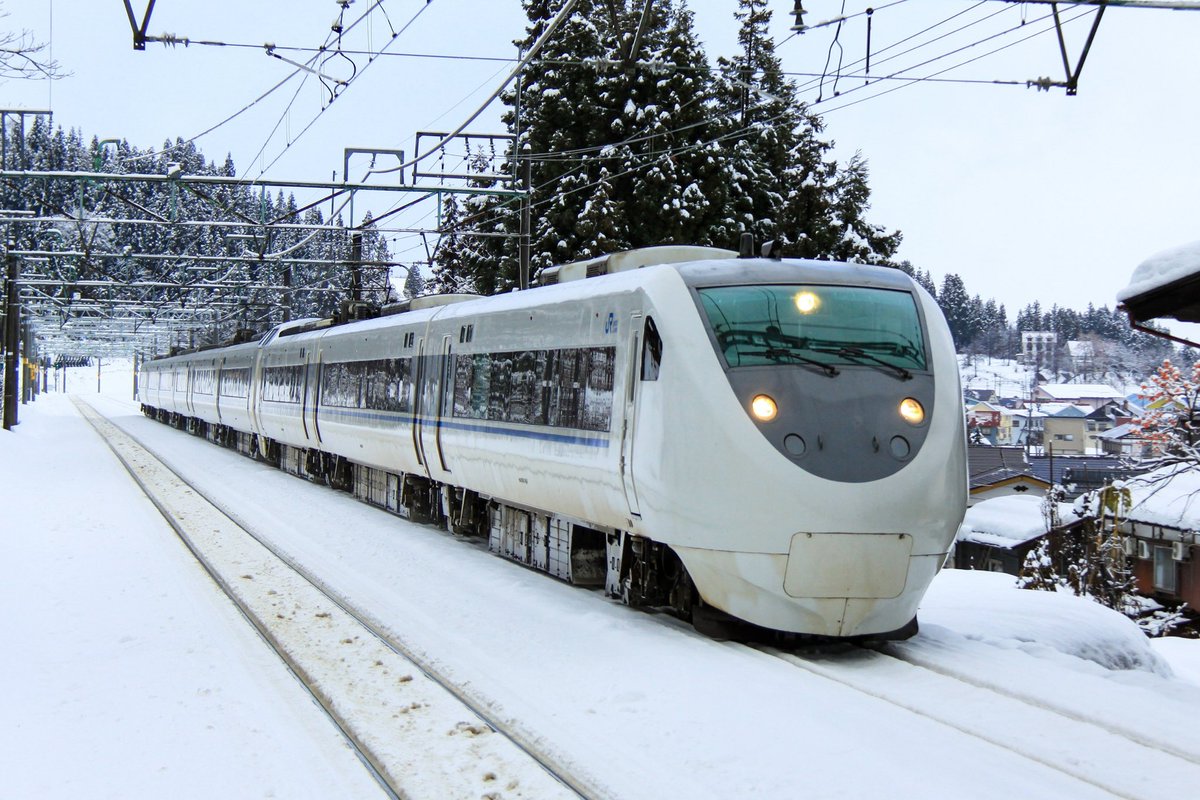 オポッサム (@Opossum787) / Posts / X