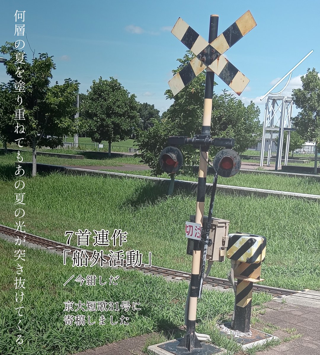 今紺しだ tweet media