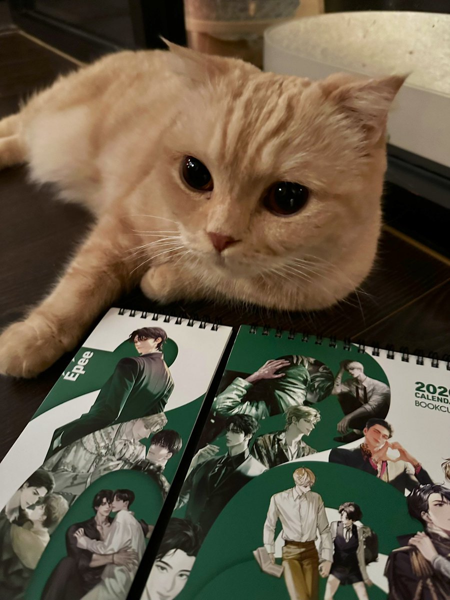 caesimH's tweet image. 연말이 다가와서인지 출판사에서 내년 달력과 다이어리 등을 선물로 보내주셨습니다. 알라딘과 위즈덤하우스, 북큐브에서 각각 보내주셨어요.
내년도 올해만큼 바쁘게 살 수 있기를… 잘 쓰겠습니다😊