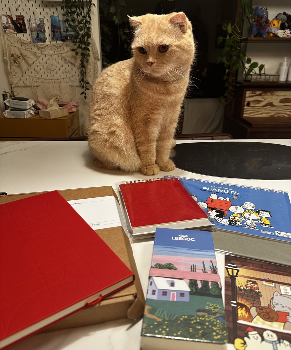 caesimH's tweet image. 연말이 다가와서인지 출판사에서 내년 달력과 다이어리 등을 선물로 보내주셨습니다. 알라딘과 위즈덤하우스, 북큐브에서 각각 보내주셨어요.
내년도 올해만큼 바쁘게 살 수 있기를… 잘 쓰겠습니다😊