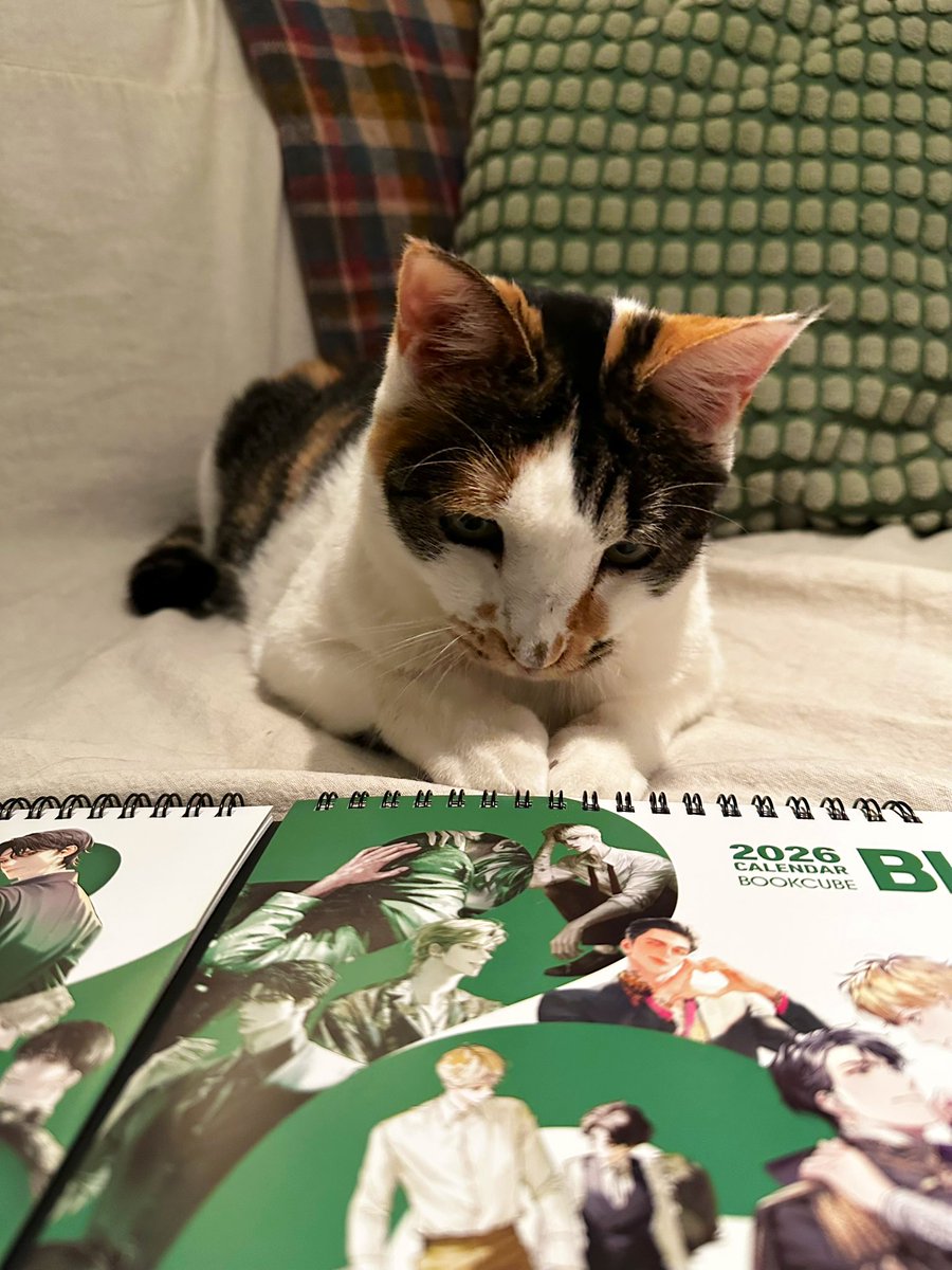 caesimH's tweet image. 연말이 다가와서인지 출판사에서 내년 달력과 다이어리 등을 선물로 보내주셨습니다. 알라딘과 위즈덤하우스, 북큐브에서 각각 보내주셨어요.
내년도 올해만큼 바쁘게 살 수 있기를… 잘 쓰겠습니다😊