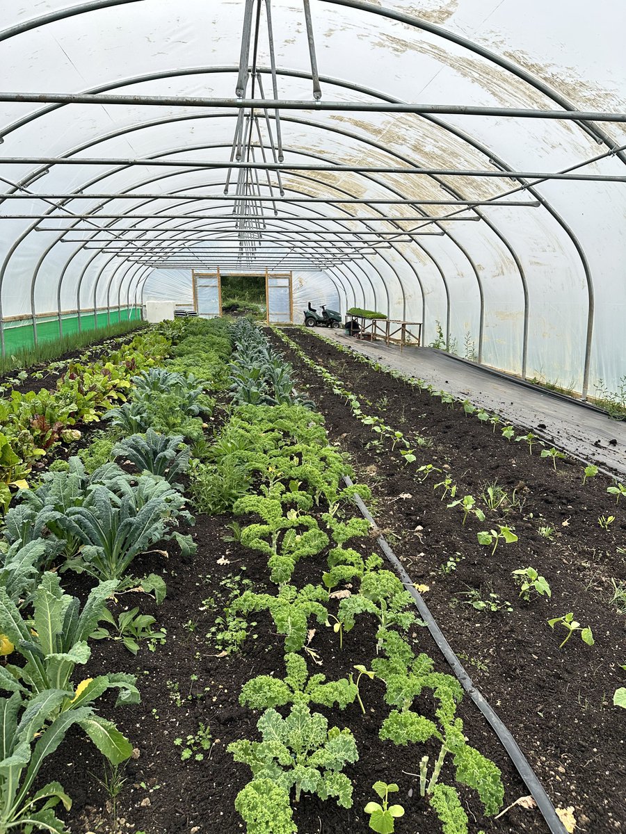 Winchester Grants tweet media