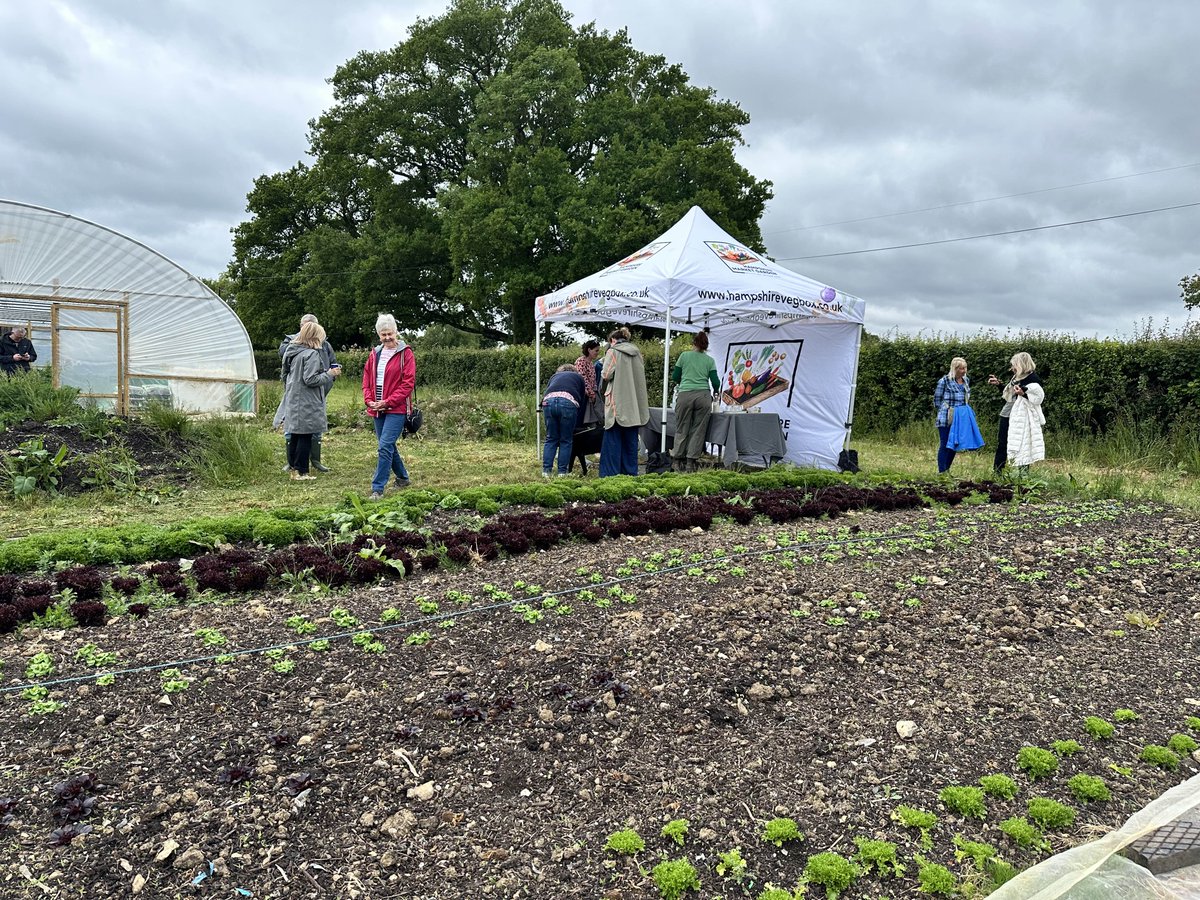 Winchester Grants tweet media