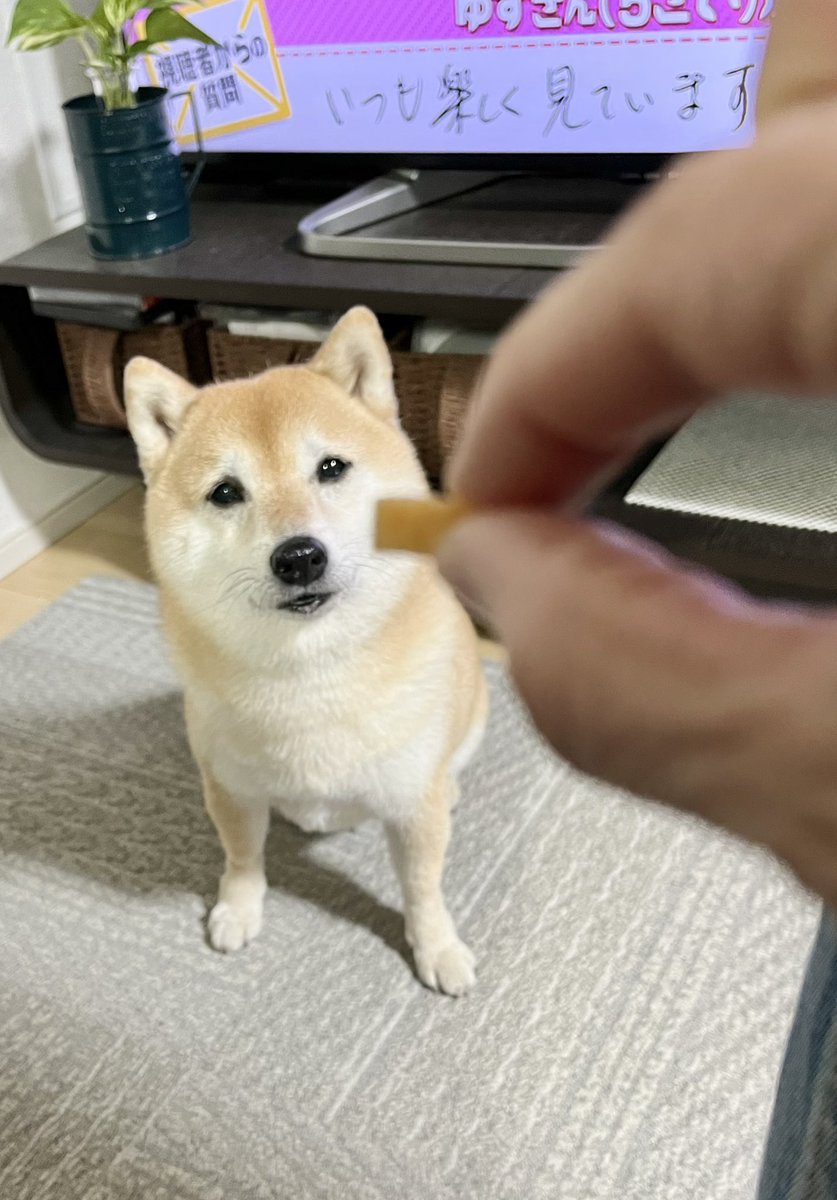 T.Katsumi (@ChinaObachan517) / Posts / X