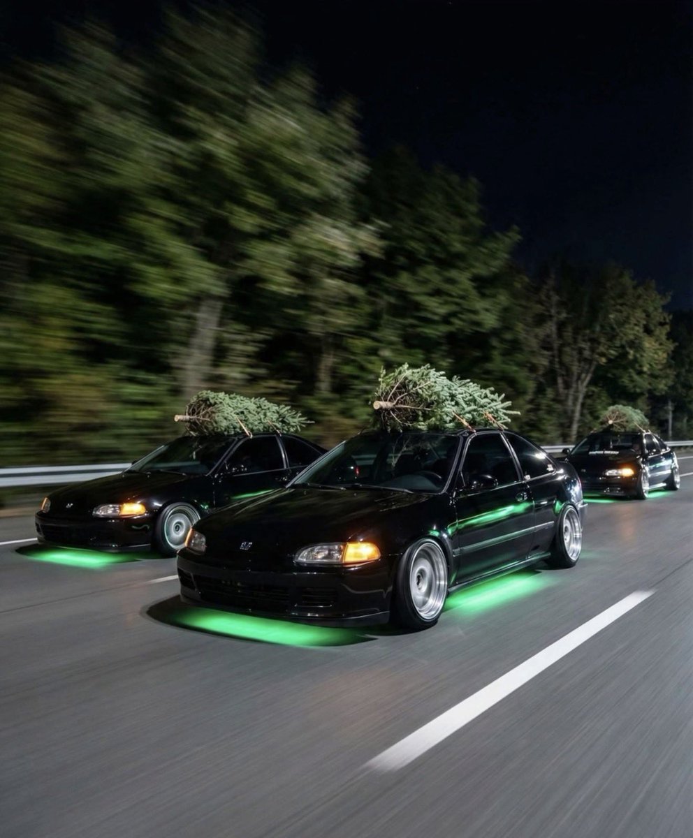 🎄