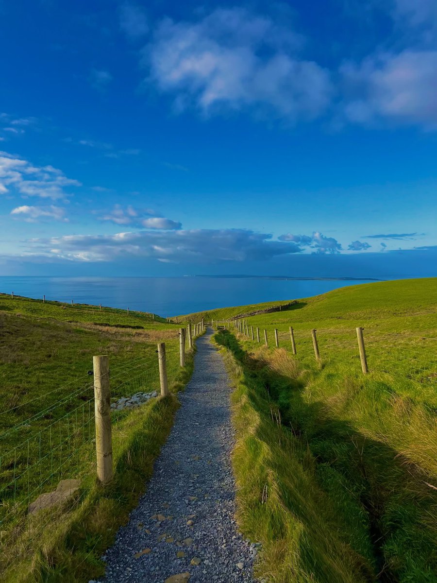 ra77aI's tweet image. 