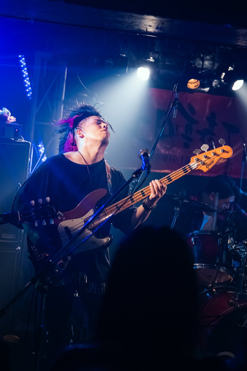 SAAMAR of Life tweet media