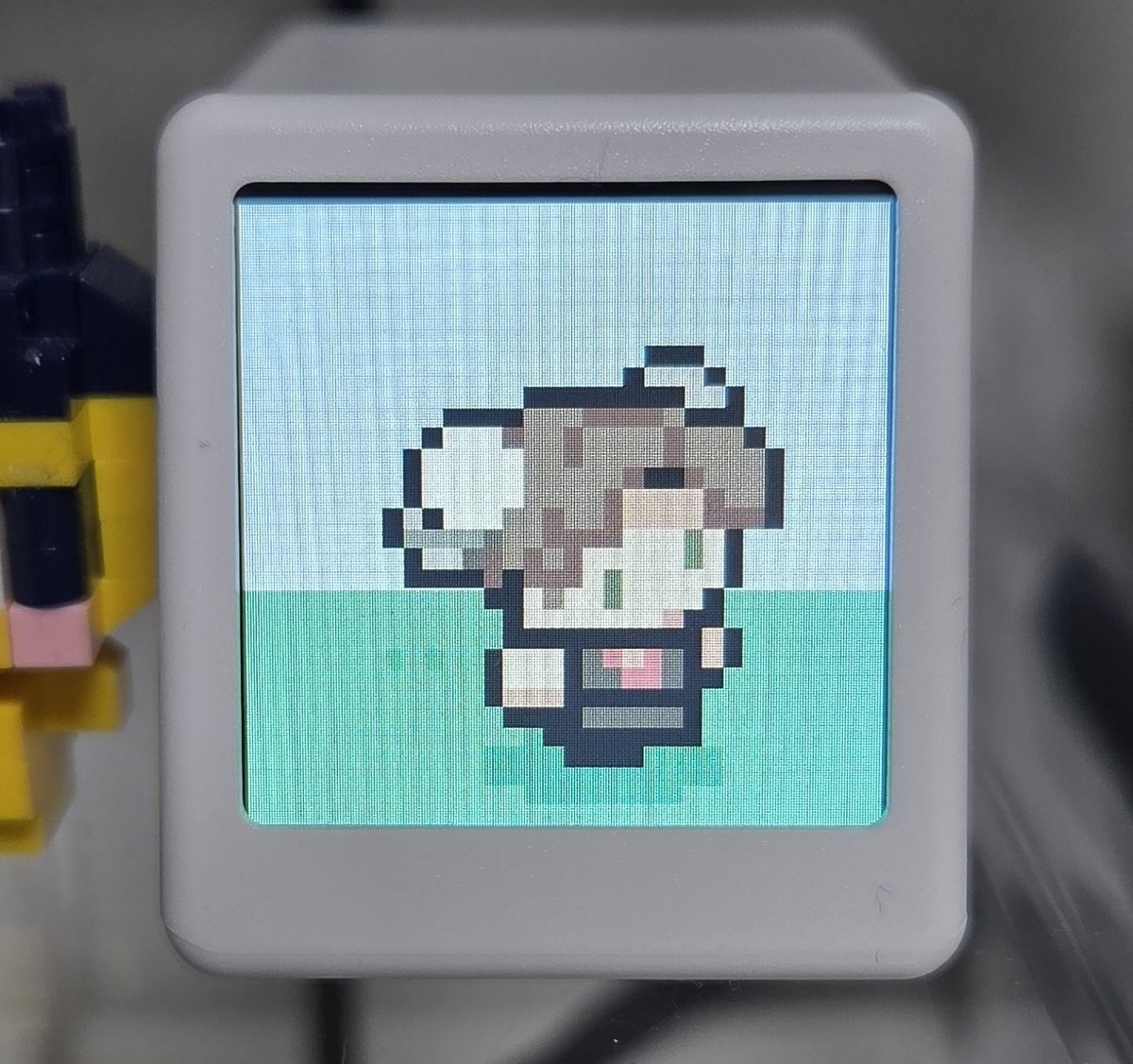 webso1234's tweet image. 귀여운거 받앗음// 다마고치 키우는것같아서 너무귀여워 ㅋㅋㅋ