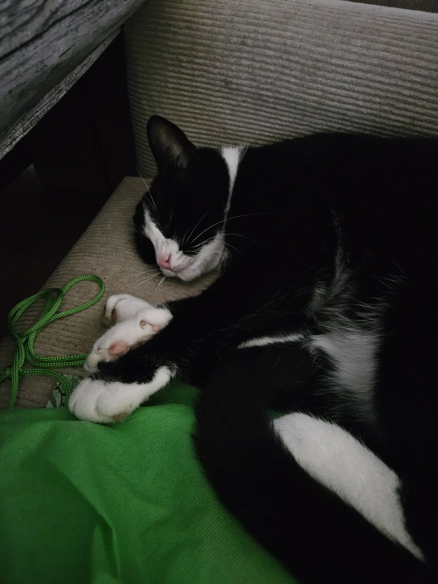 Meerepeer's tweet photo. De directeur ligt lekker naast me in een stoel. Gelukkig kijkt ie niet de hele tijd op mn vingers.  #macyspam https://t.co/FfAhHtcVjQ