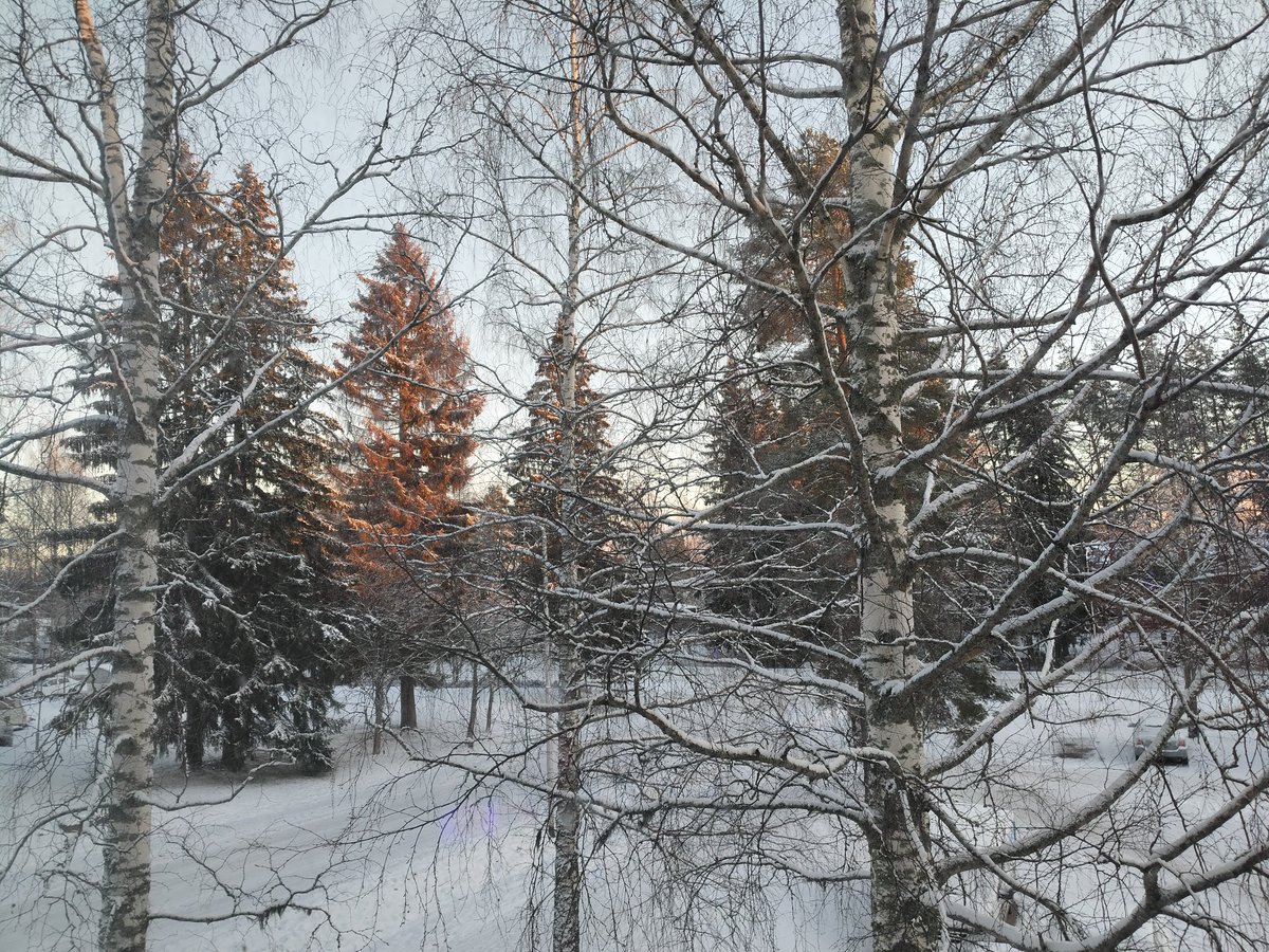 Pakkasta on kymmenisen astetta ja vielä hetken paistaa aurinko ☀️
Näkymä olohuoneen ikkunasta just nyt.