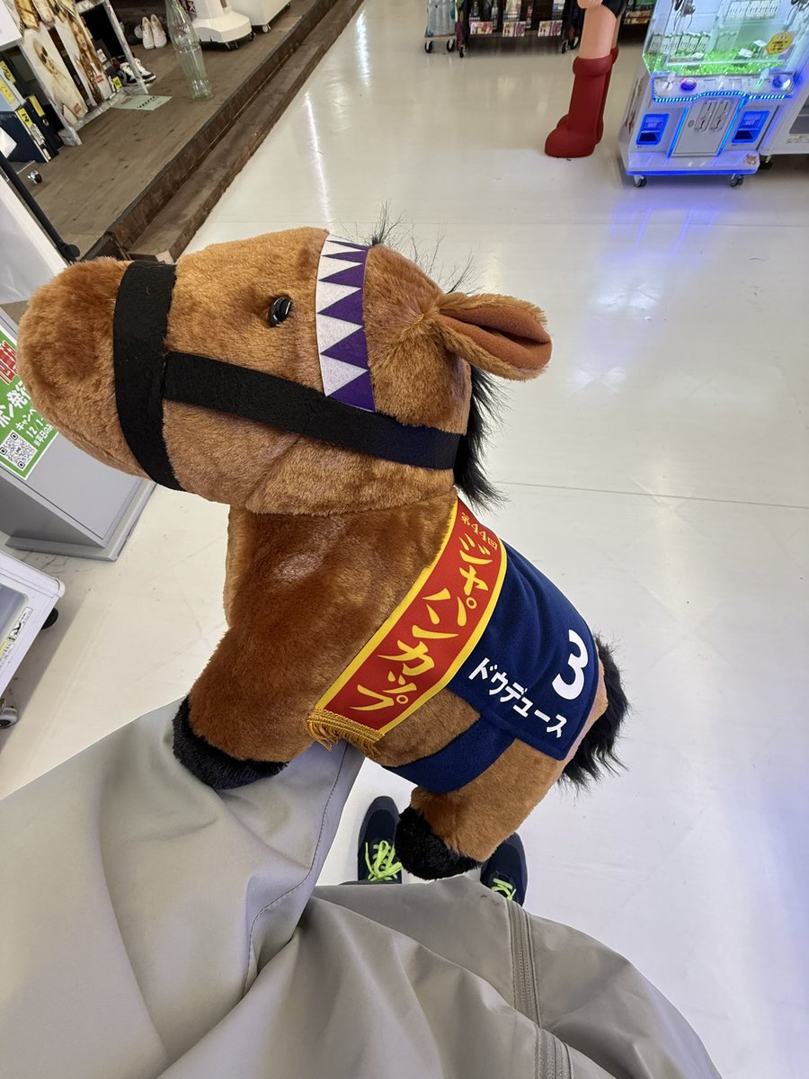 みやびてゃん🍁𝓏𝓍𝟔𝓇 (@miyanin_zx_sexr) / Posts and Replies / X