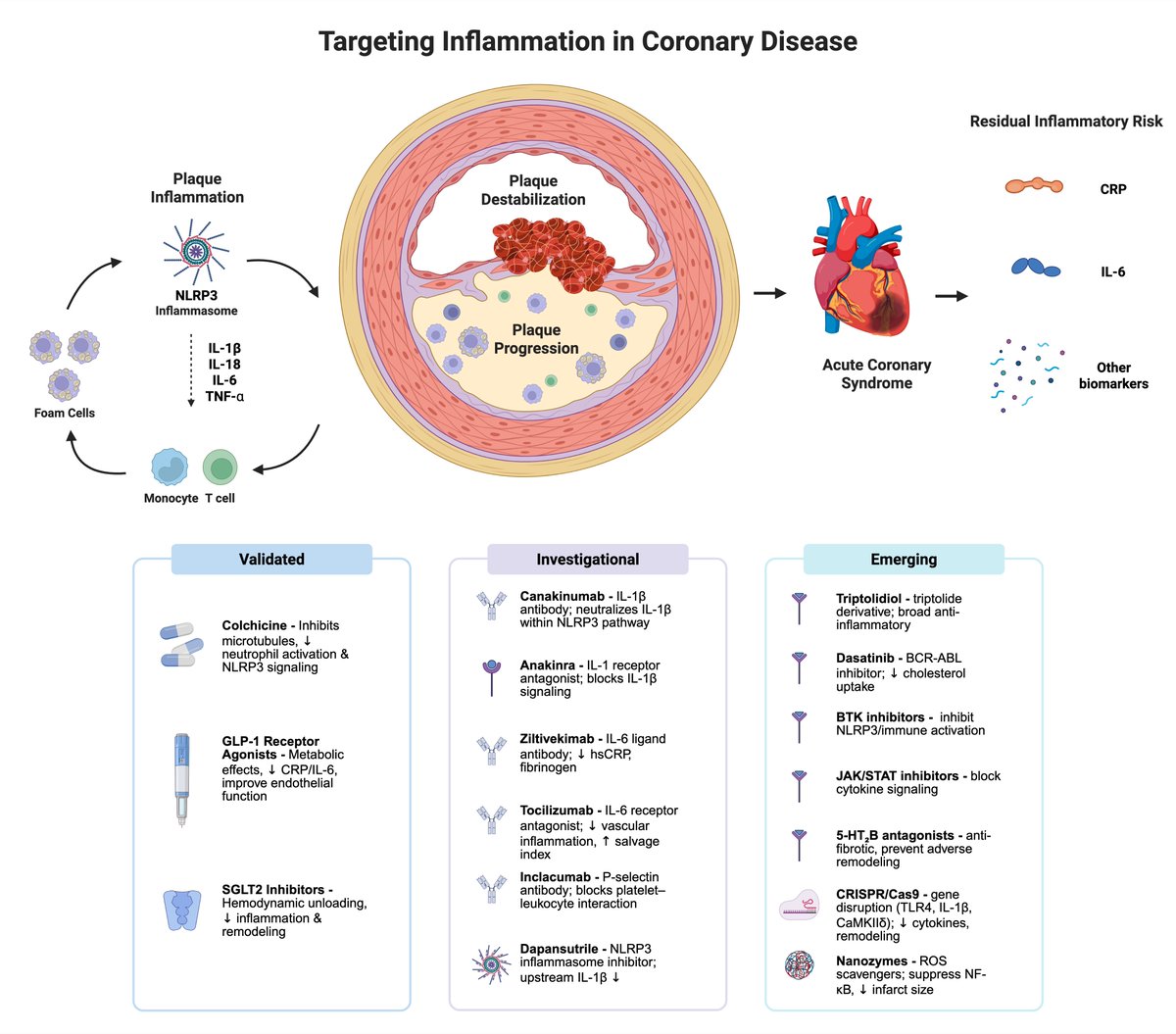 JCM MDPI tweet media