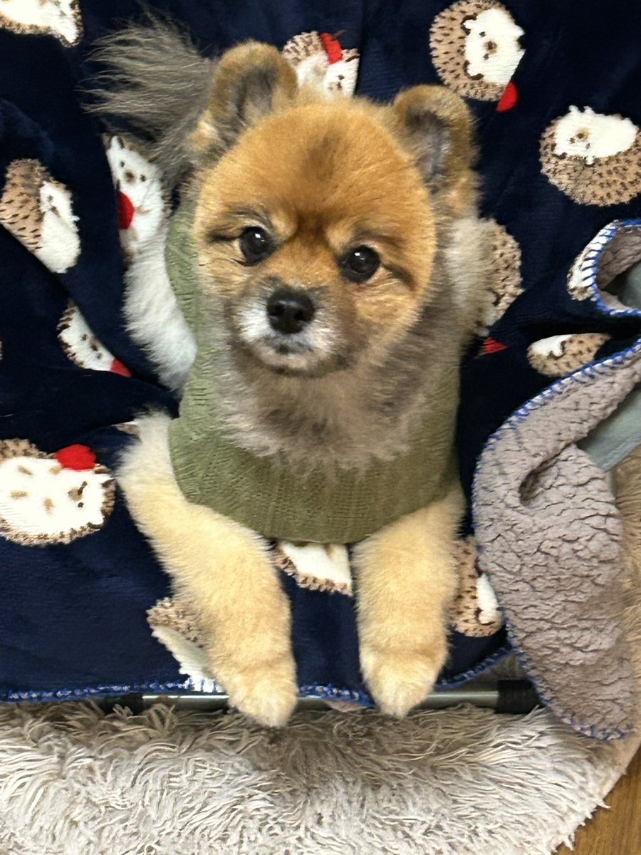 りゅう様 盤上の女神！😇🎲