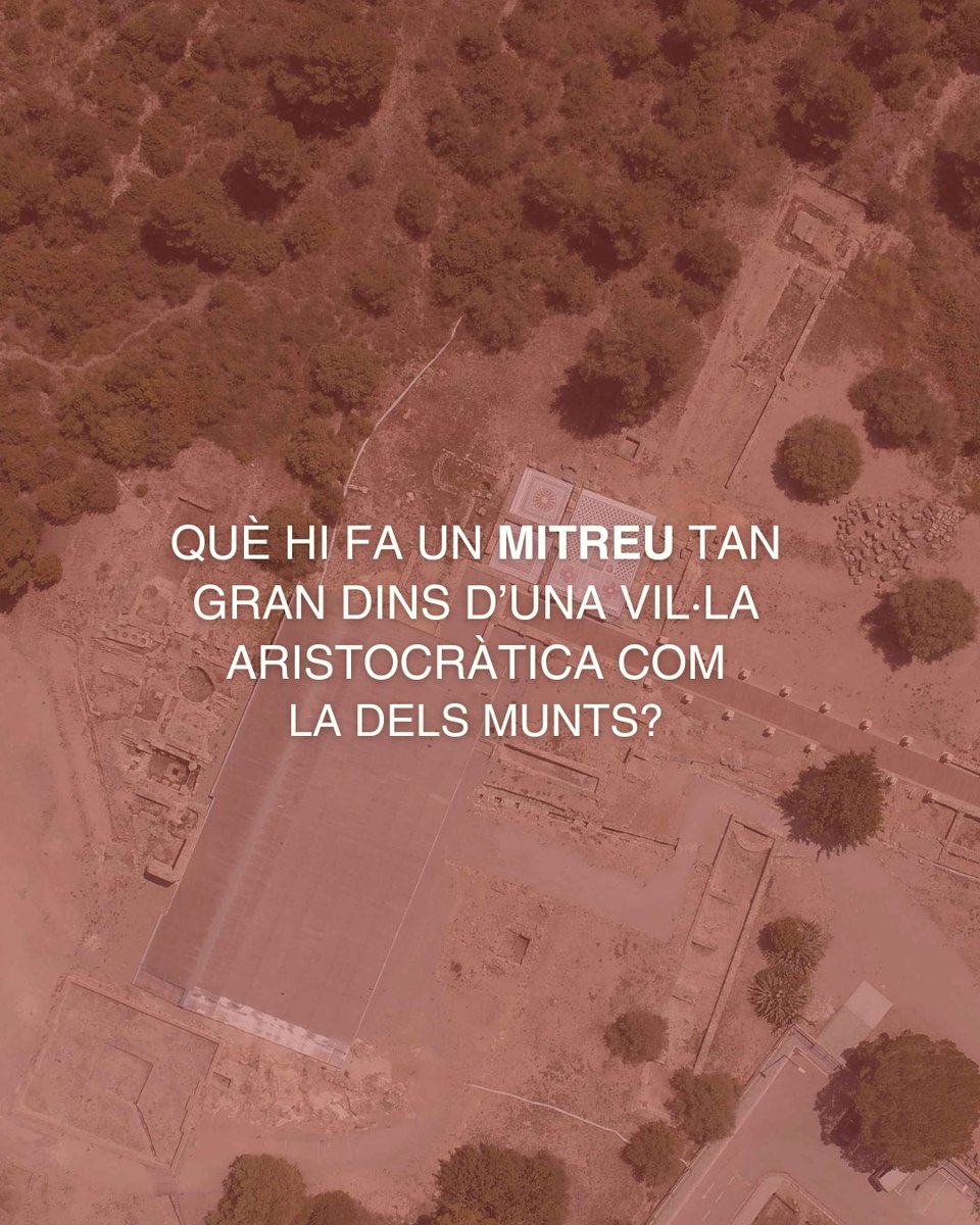 🤔 Què hi fa un mitreu tan gran dins d’una vil·la aristocràtica com la dels Munts?

El mitraisme era una religió mistèrica, reservada als iniciats. El mite explica que Mitra va sacrificar un brau i de la seva mort en van néixer el blat 🌾 i el vi 🍷.

Fil👇