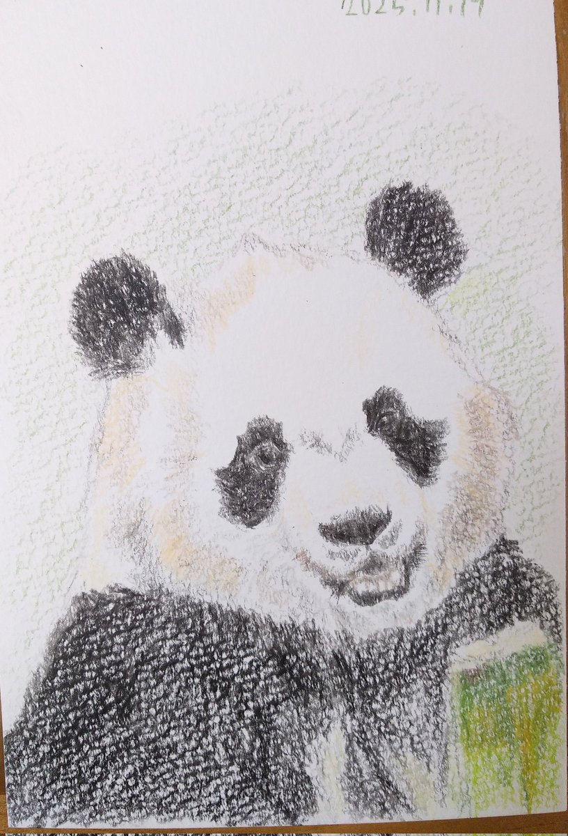 トレンドに 和歌山県・白浜のパンダ… しかしやっぱり何だかわからない