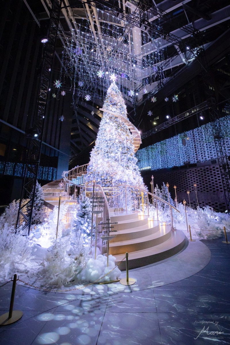 クリスマスツリー