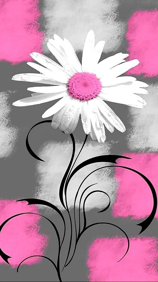 GUTEN MORGEN MEINE LIEBEN 💓