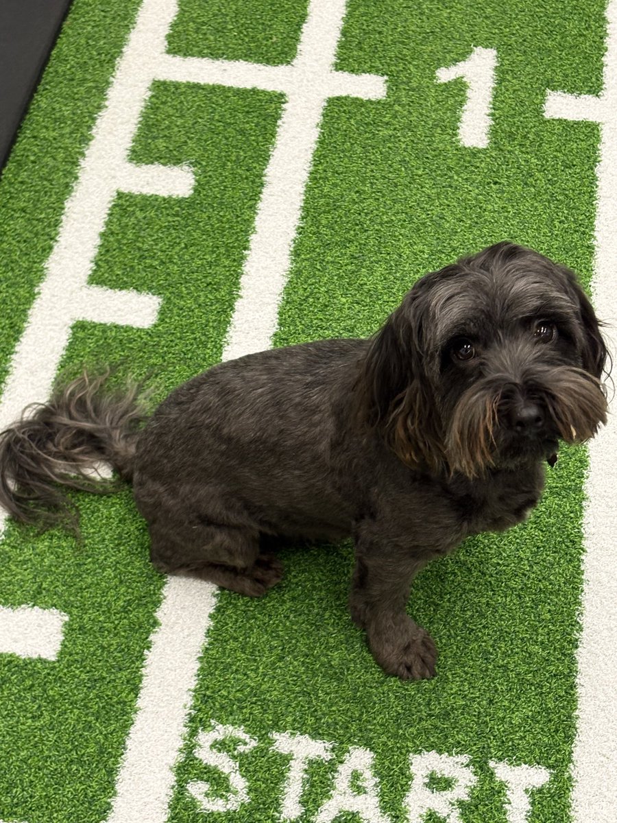 Lisa Tan tweet media