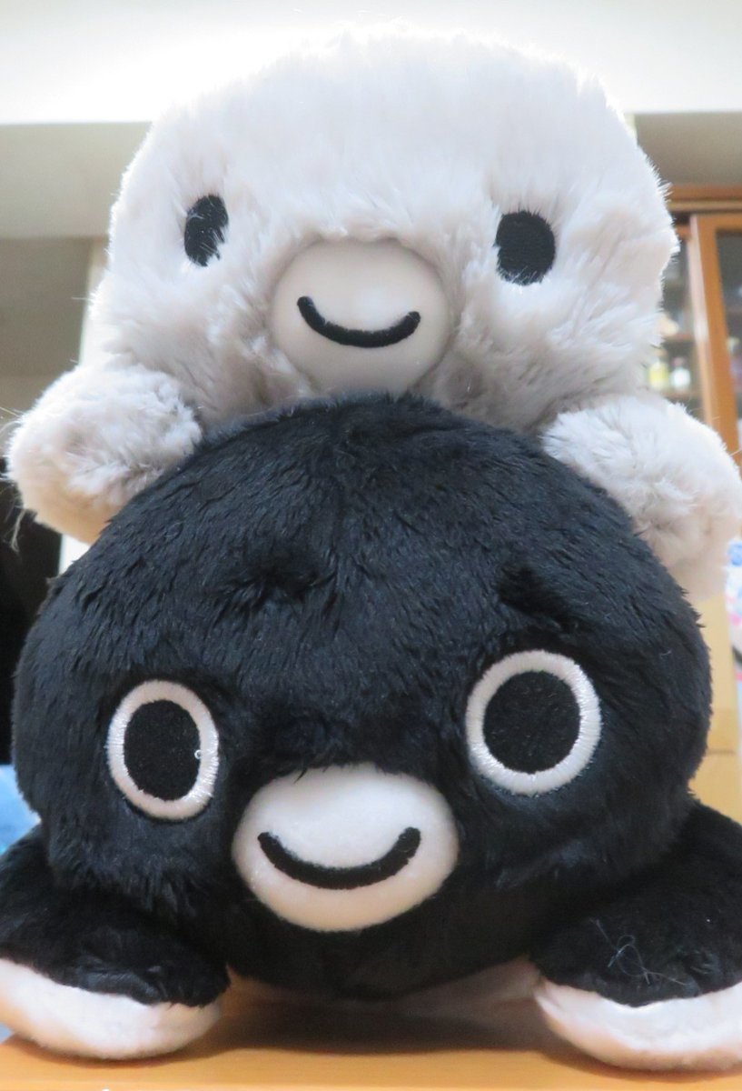 Suicaのペンギン くたっとぬいぐるみ(一緒にあそぼ) ようこそくたペン