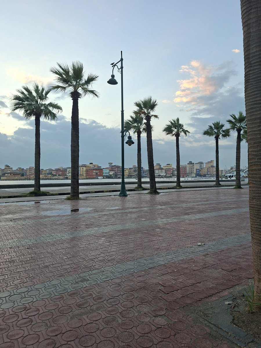 NadaElsayed16's tweet image. 🥶💖