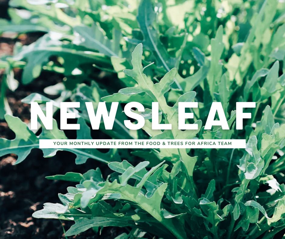 Food & Trees for Africa tweet media